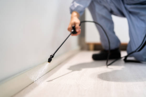 Licensed Pest Control service in Gratton, VA - Show Me Pest Control